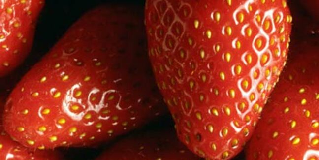 Toutes les questions qu'on se pose sur la fraise