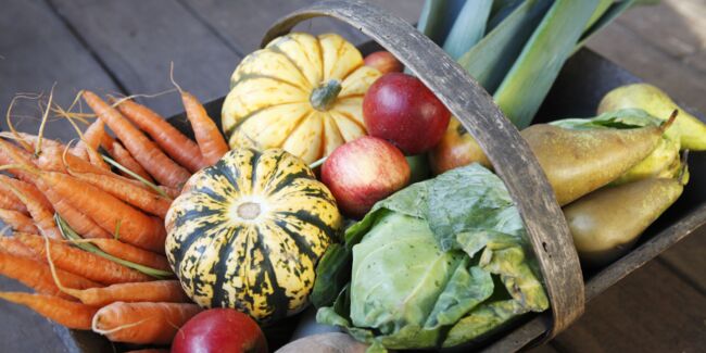 Comment mieux conserver ses fruits et légumes ?