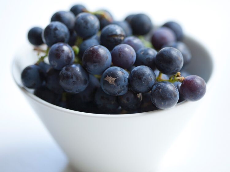 Raisins au vinaigre facile : découvrez les recettes de..