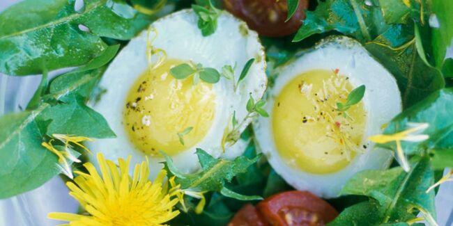 Salade de pissenlit aux œufs de caille