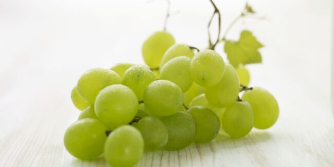 Gelée de raisin au vin blanc