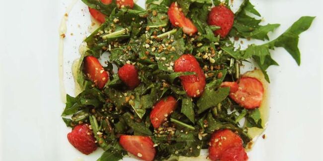 Salade de feuilles de pissenlit et de fraises au miel et aux pralins