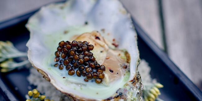 Huîtres au lait d'estragon et caviar