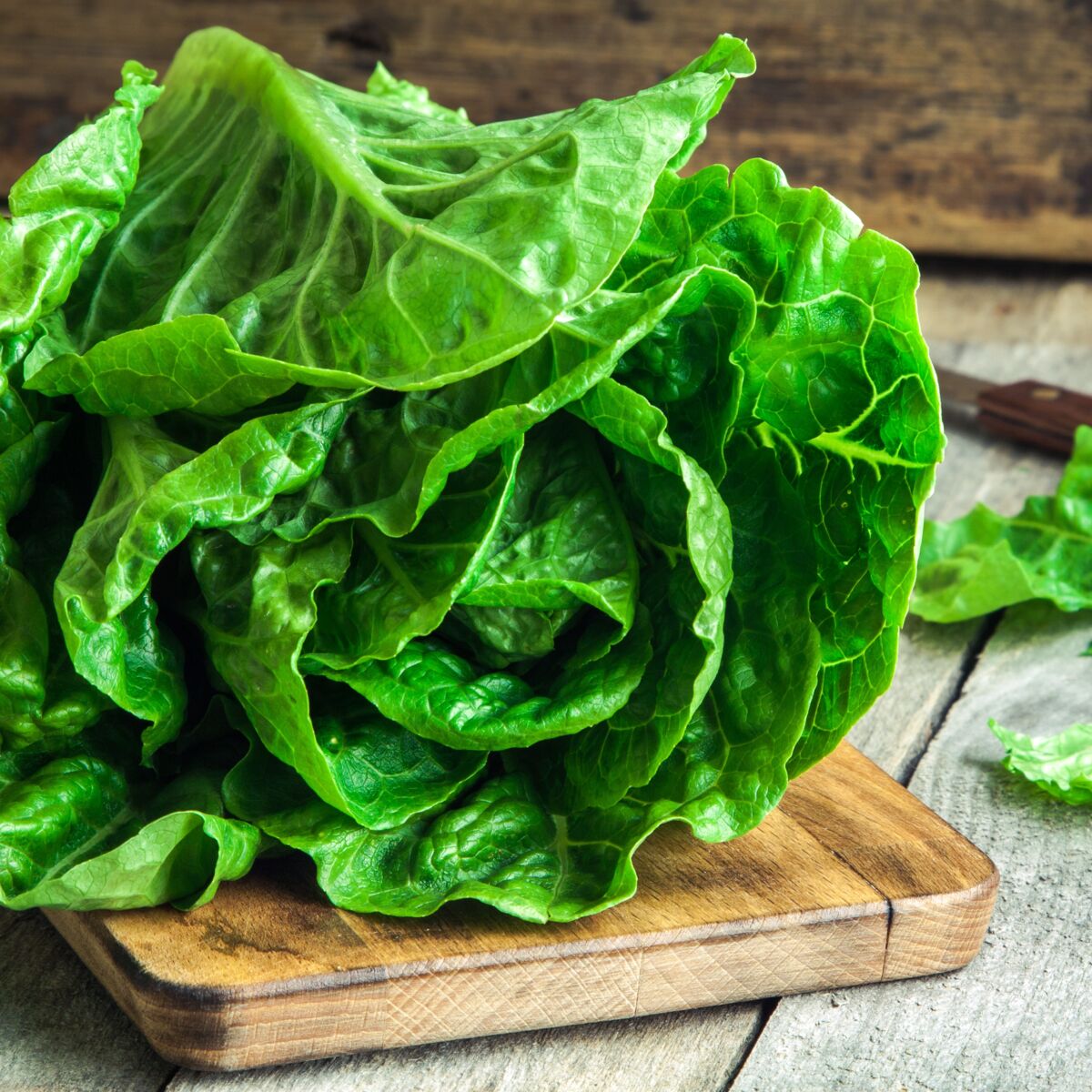 Un sac à salades pour conserver plus longtemps ses légumes