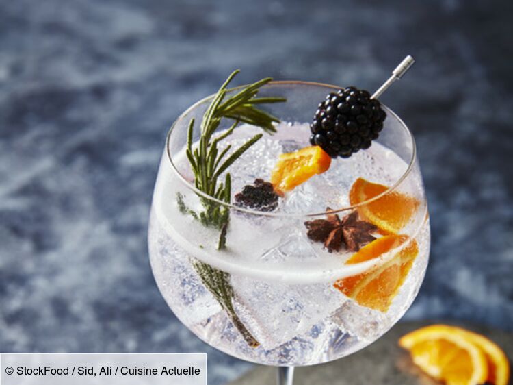 Gin tonic d'hiver facile et rapide : découvrez les recettes de Cuisine  Actuelle