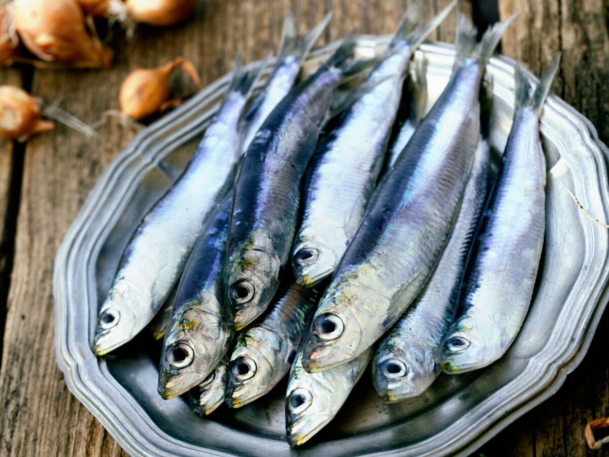Tout savoir sur la sardine : saison, variétés, conservation, bienfaits,  recettes - Cuisine Actuelle