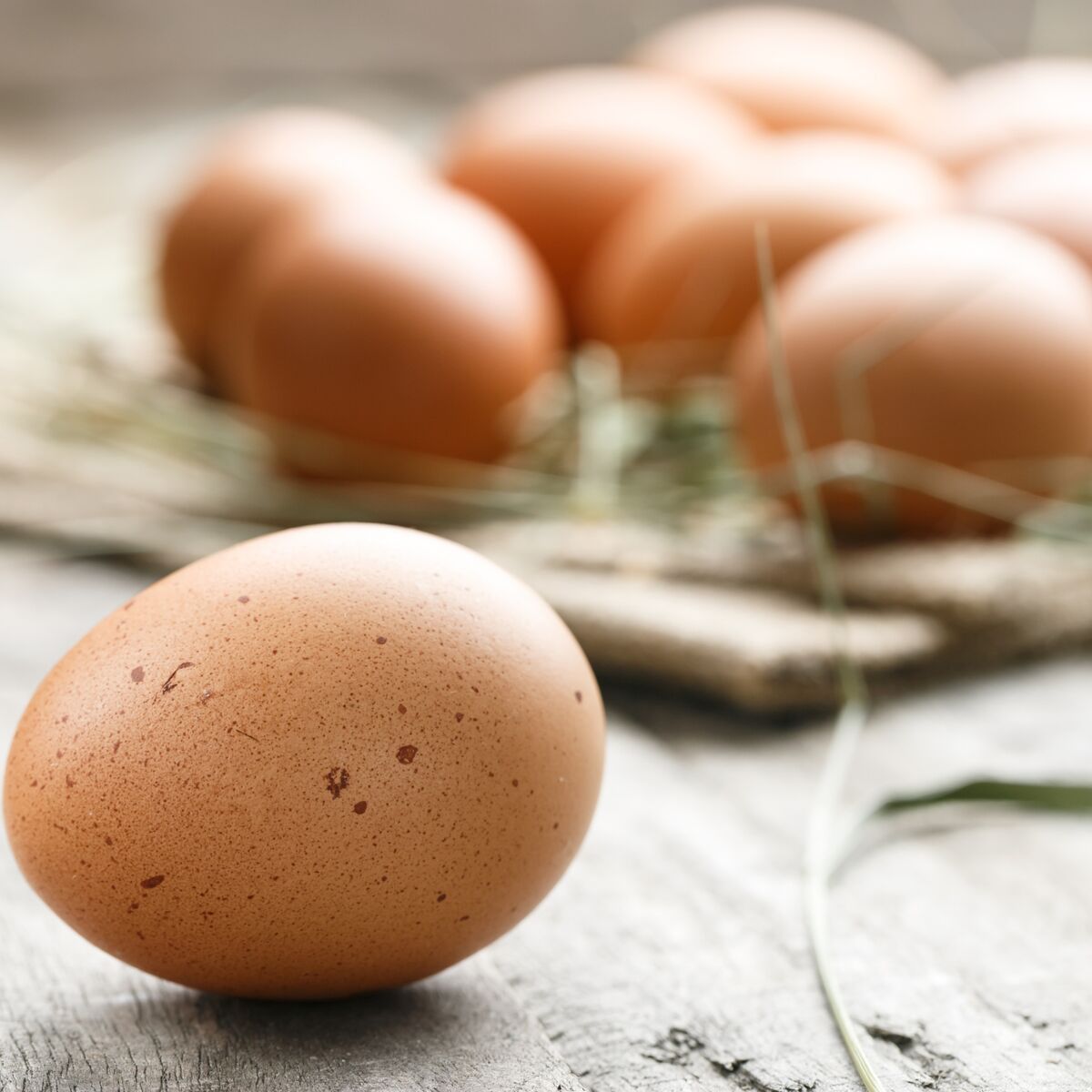 ERNESTO® Pocheuse à œufs pour four à micro-ondes, sans…