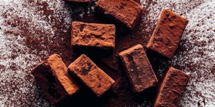 Truffes au chocolat (2 ingrédients) - L'Herboriste, cuisine végétale