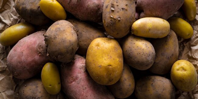 Pommes de terre : quelles sont les variétés à chair tendre, ferme ou farineuse ?