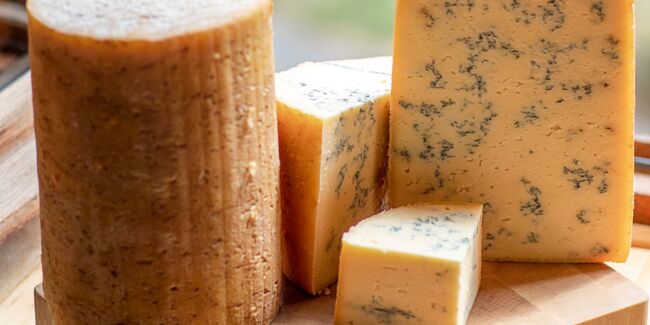 Fourme de Montbrison : les secrets de fabrication de ce fromage à pâte persillée 