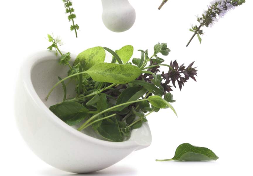 Culture food : les herbes aromatiques
