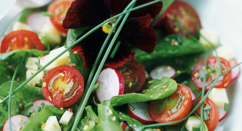 Salade fraîcheur aux fleurs de pensées