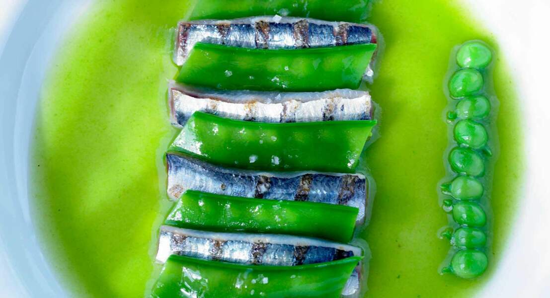 Fraîcheur de sardines aux petits pois mentholés