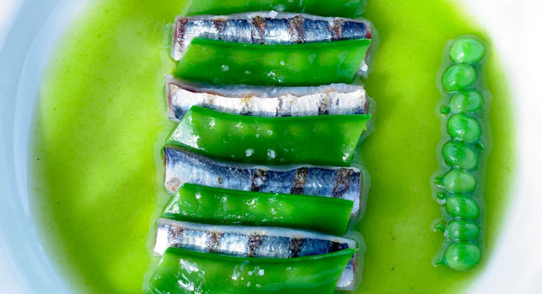 Fraîcheur de sardines aux petits pois mentholés