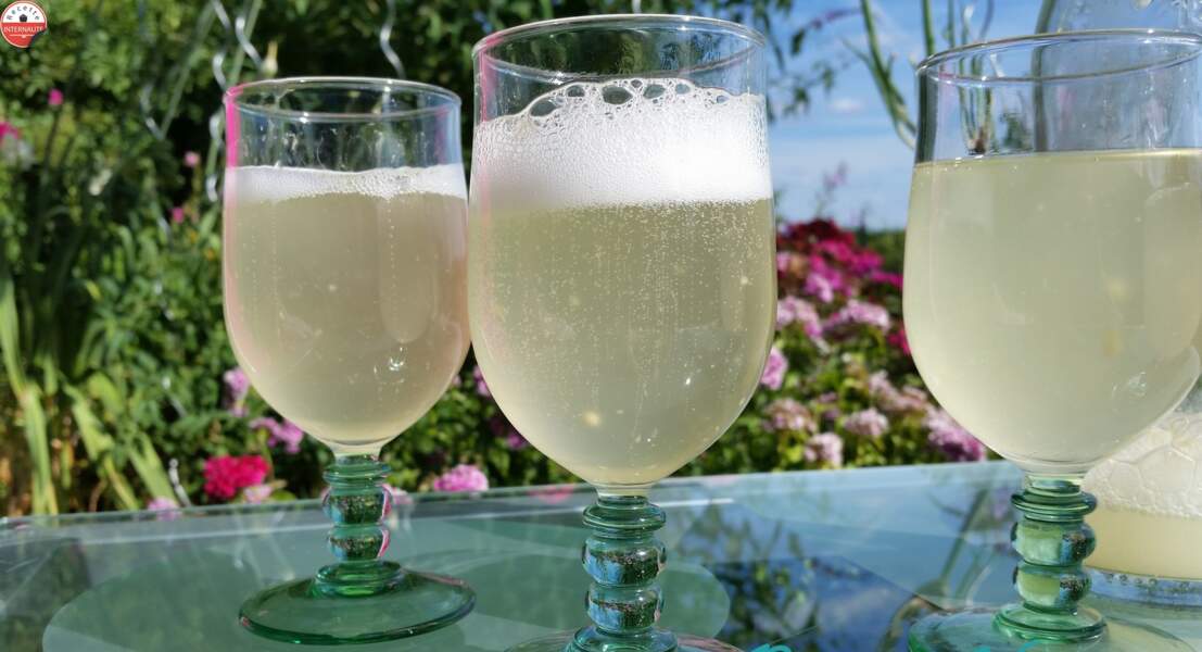 La limonade de sureau ou champagne des fées de RecreaNature