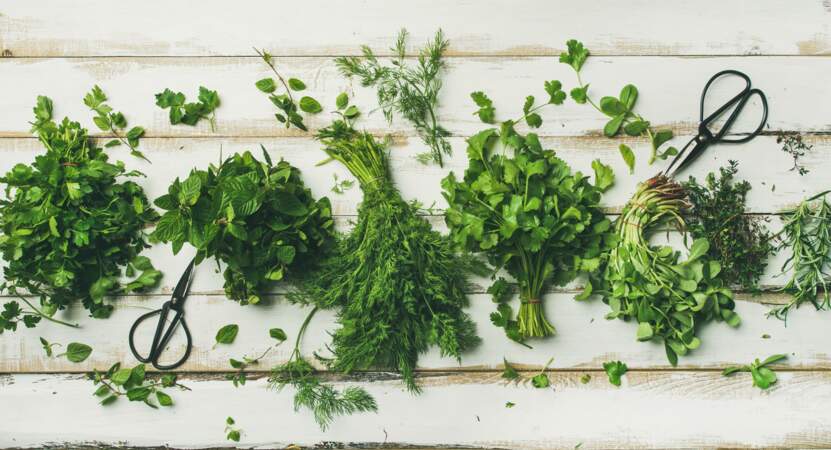 5 astuces pour conserver ses herbes aromatiques