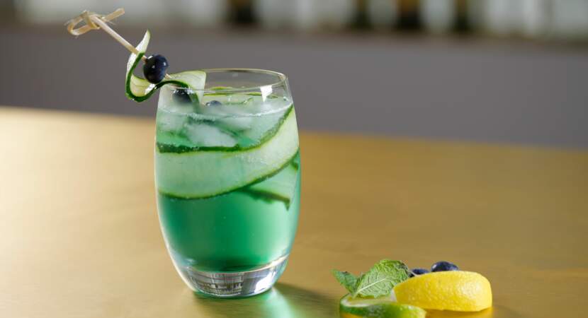 Gin Tonic Menthe Concombre