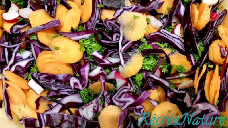 Salade végétarienne chou rouge, carottes, radis et persil du jardin