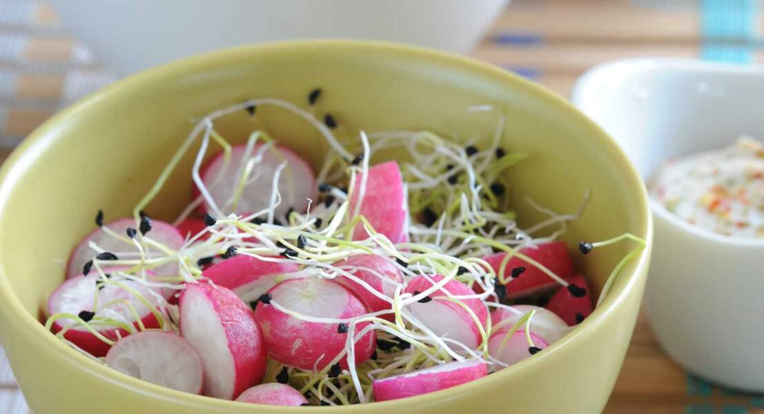 Salade de radis et germes de poireau