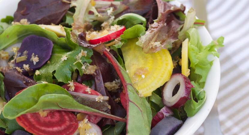 Salade aux betteraves multicolores