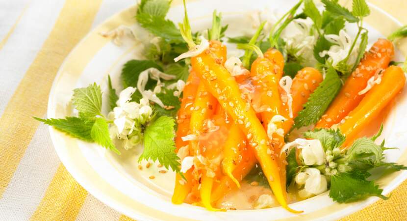 Salade de carotte aux fleurs d'orties