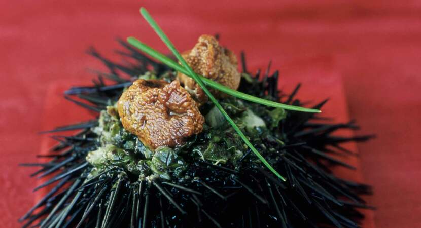 Oursins farcis au tartare d'algues et ciboulette