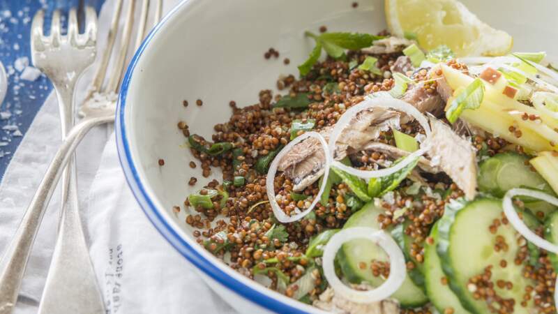 Salade de quinoa, concombre et sardine 