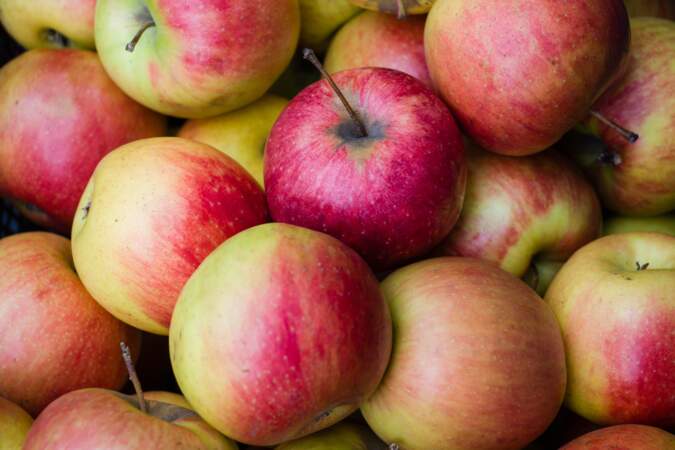 Que faire avec beaucoup de pommes (la top recette et 5 astuces pour bien les conserver ?)
