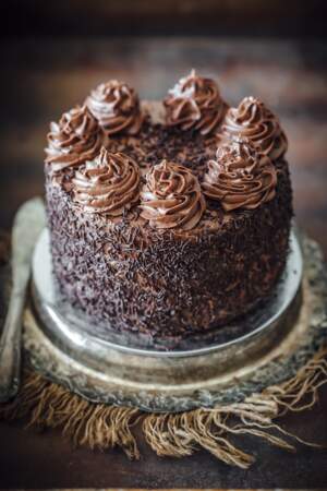 Gros gâteau au chocolat 