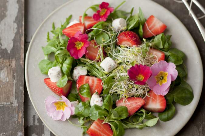 Salade de pourpier aux fraises et chèvre
