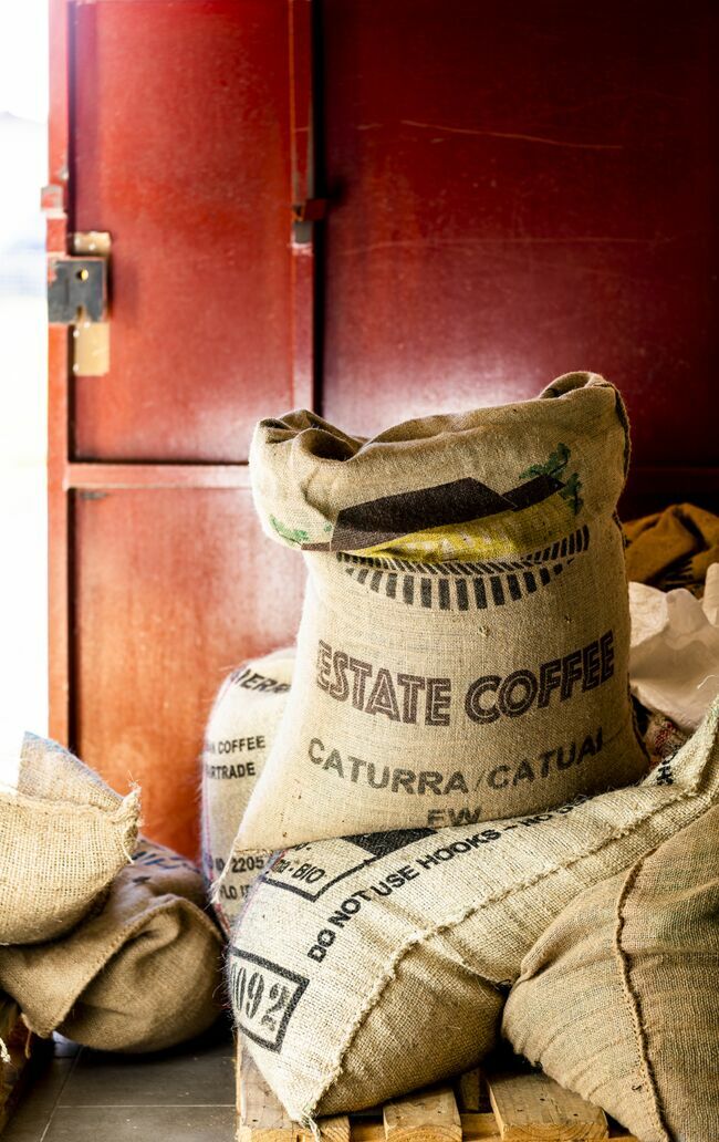D’une contenance de 60 kg, le sac de café vert est en toile de jute.