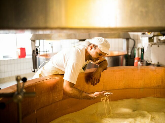 Benoît Sigonney, fromager, contrôle les grains du caillé qui est en train de cuire.