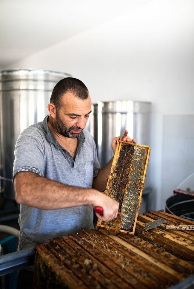 Dans la miellerie, Pierre Carli recueille le miel accumulé dans les alvéoles par les abeilles.