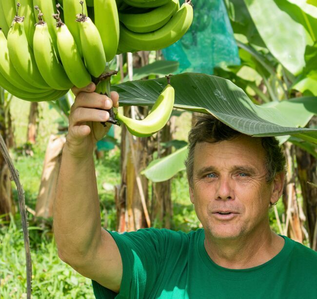 Michel Blondel, producteur de bananes bio au Lorrain.
