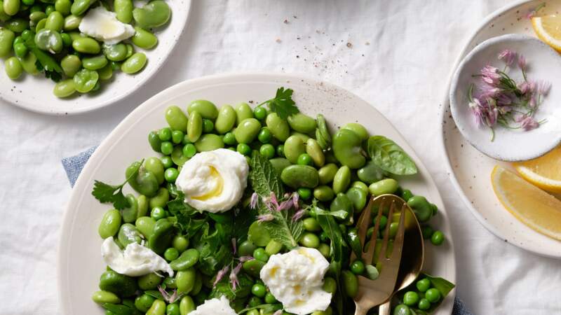 Salade de fèves, edamame, pois verts, burrata et herbes 	 