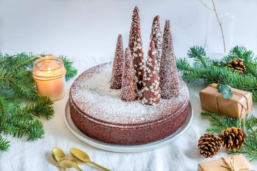 Gâteau au chocolat et sapins de Noël